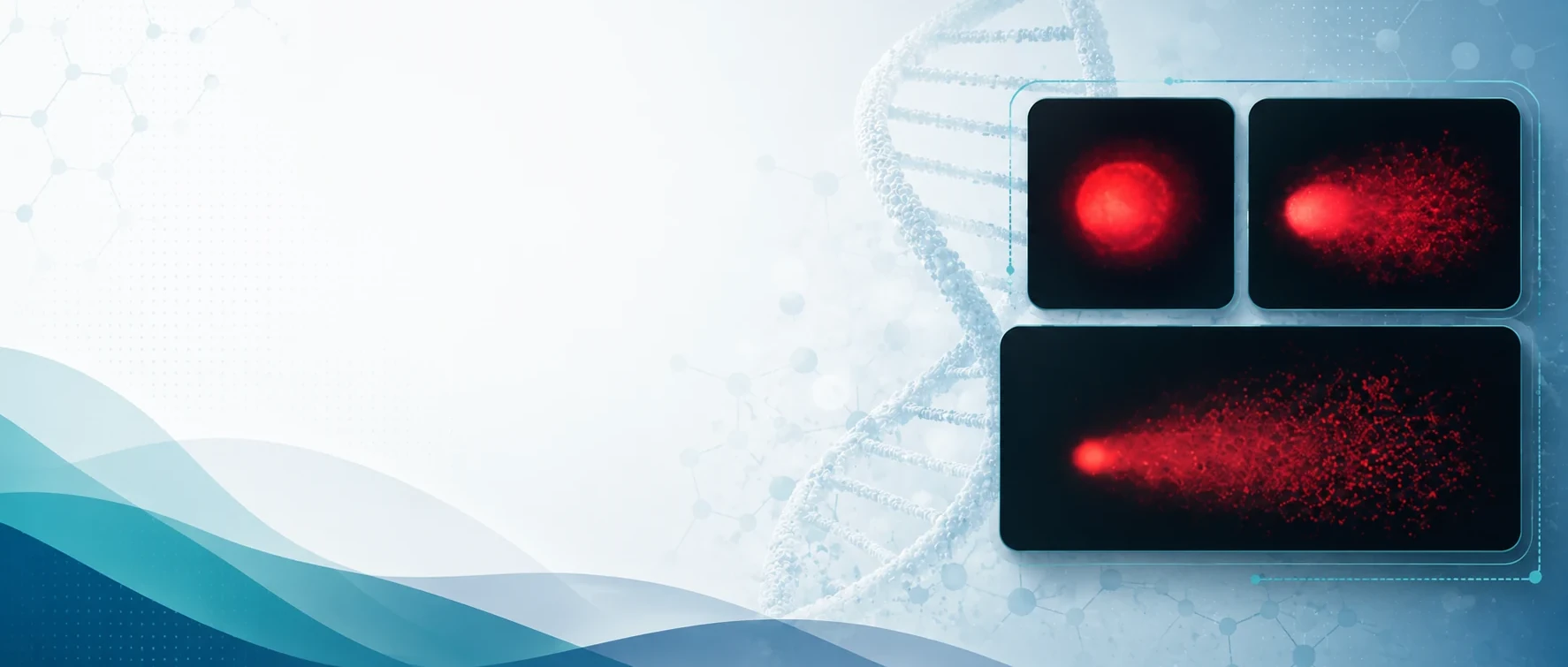 Comet assay images showing DNA damage against a DNA double helix background